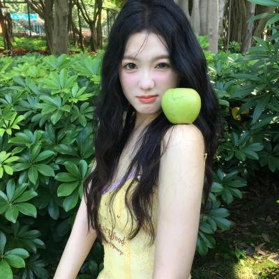 大象与小蝶物语